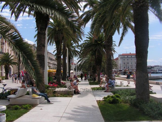 split