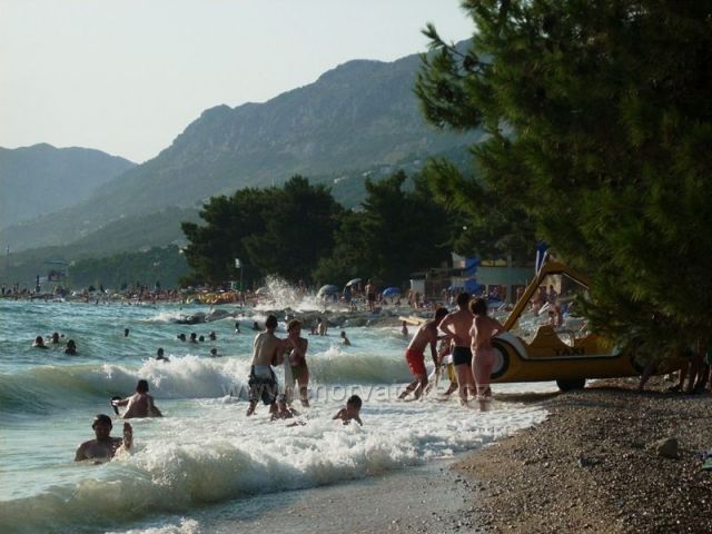 Vlny