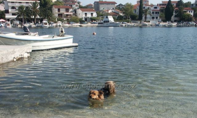 U nás chutí lepšie...