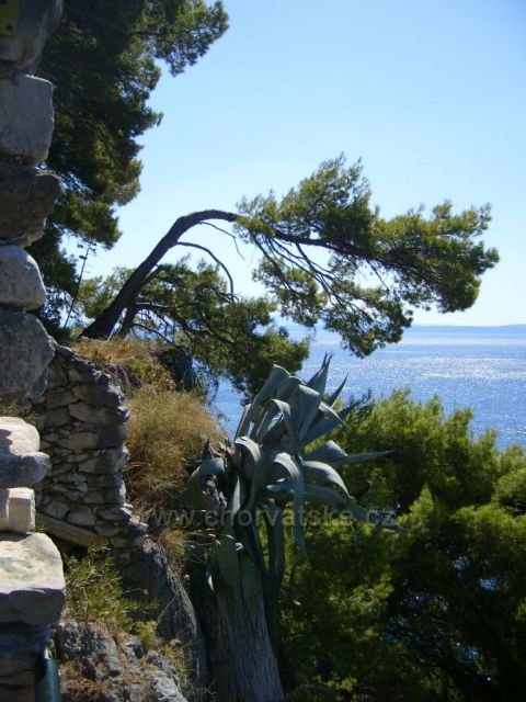 Makarska