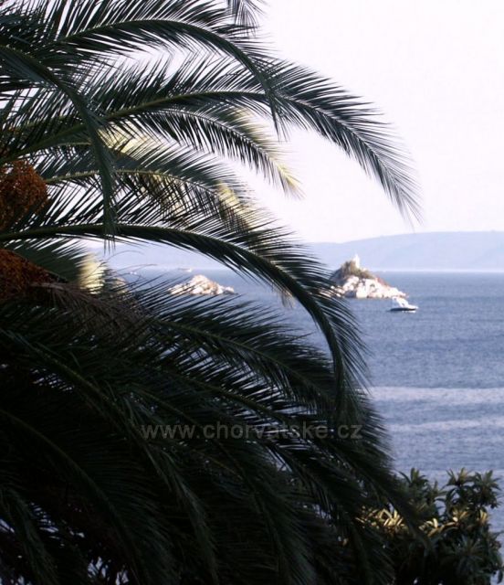 V pobrežných vodách Vranjice