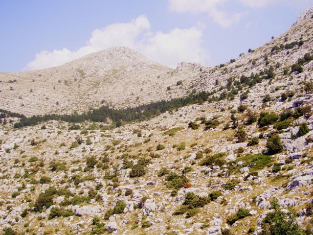 Biokovo