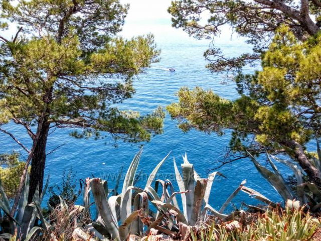 Makarska
Z parku sv. Petra