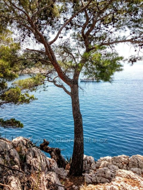 Makarska
Z parku sv. Petra
