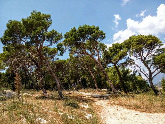 Makarska
Z parku sv. Petra