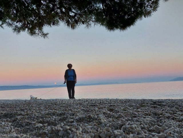 Žena, pes a moře :-)